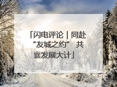 闪电评论｜同赴“友城之约” 共襄发展大计