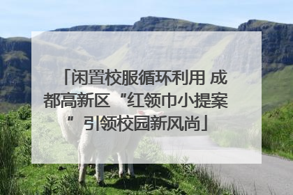 闲置校服循环利用 成都高新区“红领巾小提案”引领校园新风尚