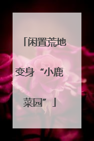 闲置荒地变身“小鹿菜园”