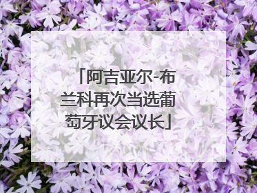 阿吉亚尔-布兰科再次当选葡萄牙议会议长