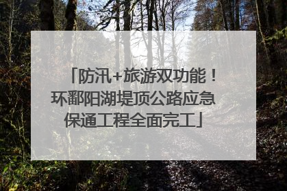 防汛+旅游双功能！环鄱阳湖堤顶公路应急保通工程全面完工