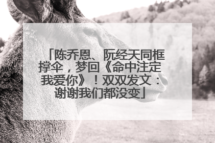 陈乔恩、阮经天同框撑伞，梦回《命中注定我爱你》！双双发文：谢谢我们都没变