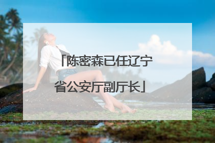 陈密森已任辽宁省公安厅副厅长