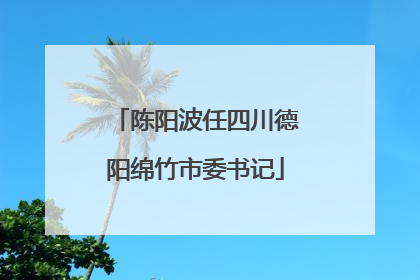 陈阳波任四川德阳绵竹市委书记