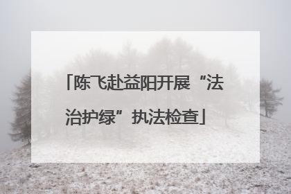陈飞赴益阳开展“法治护绿”执法检查