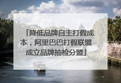 降低品牌自主打假成本，阿里巴巴打假联盟成立品牌抽检分盟