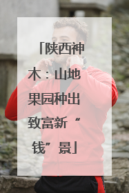 陕西神木：山地果园种出致富新“钱”景