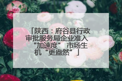 陕西：府谷县行政审批服务局企业准入“加速度” 市场生机“更盎然”