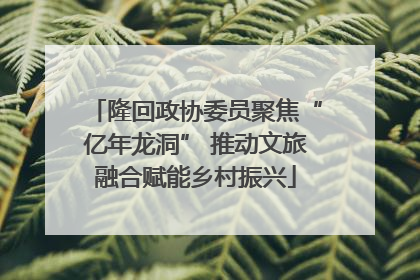 隆回政协委员聚焦“亿年龙洞” 推动文旅融合赋能乡村振兴