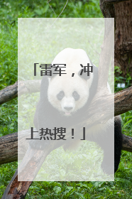 雷军，冲上热搜！