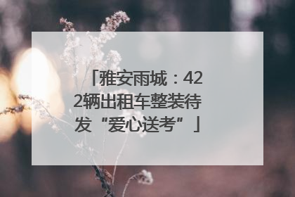 雅安雨城：422辆出租车整装待发“爱心送考”