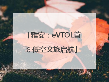 雅安：eVTOL首飞 低空文旅启航