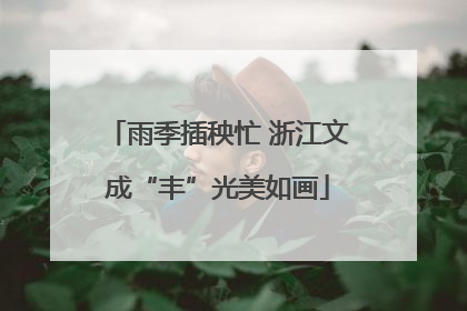 雨季插秧忙 浙江文成“丰”光美如画