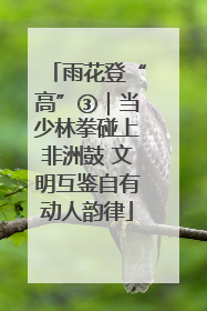 雨花登“高”③｜当少林拳碰上非洲鼓 文明互鉴自有动人韵律