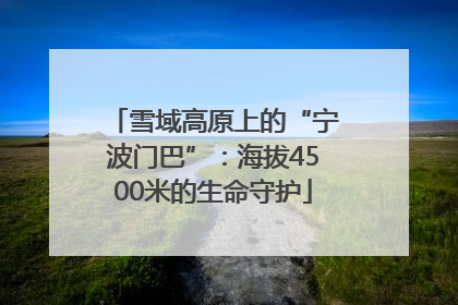 雪域高原上的“宁波门巴”：海拔4500米的生命守护