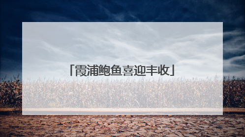 霞浦鲍鱼喜迎丰收