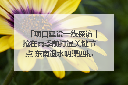 项目建设一线探访｜抢在雨季前打通关键节点 东南退水明渠四标段项目顺利完工
