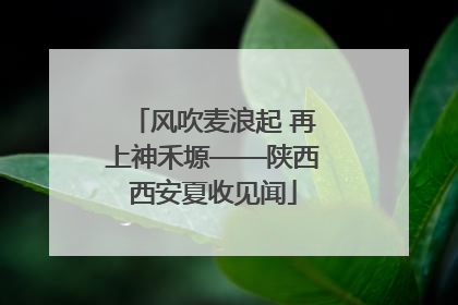 风吹麦浪起 再上神禾塬——陕西西安夏收见闻
