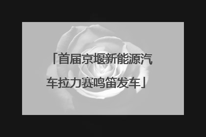 首届京堰新能源汽车拉力赛鸣笛发车
