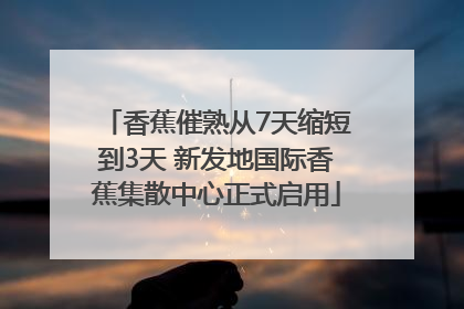 香蕉催熟从7天缩短到3天 新发地国际香蕉集散中心正式启用