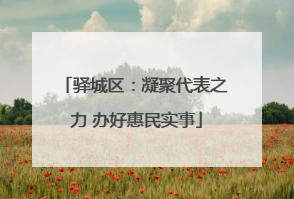 驿城区：凝聚代表之力 办好惠民实事