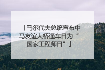 马尔代夫总统宣布中马友谊大桥通车日为“国家工程师日”