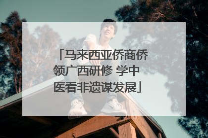 马来西亚侨商侨领广西研修 学中医看非遗谋发展