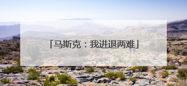 马斯克：我进退两难