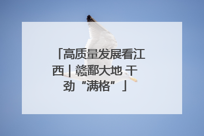 高质量发展看江西｜赣鄱大地 干劲“满格”