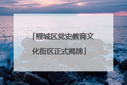 鲤城区党史教育文化街区正式揭牌