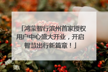 鸿蒙智行滨州首家授权用户中心盛大开业，开启智慧出行新篇章！