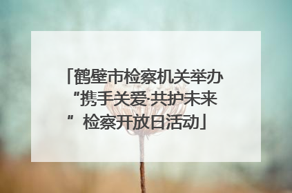 鹤壁市检察机关举办“携手关爱·共护未来”检察开放日活动