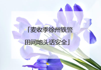 麦收季徐州铁警田间地头话安全