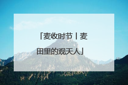 麦收时节丨麦田里的观天人