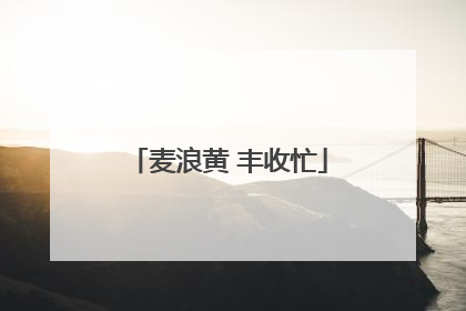 麦浪黄 丰收忙
