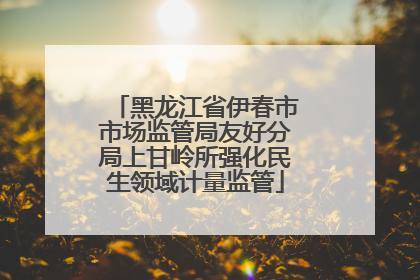 黑龙江省伊春市市场监管局友好分局上甘岭所强化民生领域计量监管