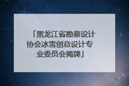 黑龙江省勘察设计协会冰雪创意设计专业委员会揭牌