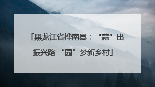 黑龙江省桦南县：“蒜”出振兴路 “园”梦新乡村