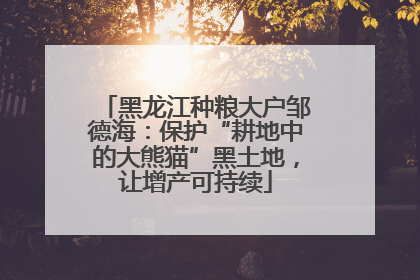 黑龙江种粮大户邹德海：保护“耕地中的大熊猫”黑土地，让增产可持续