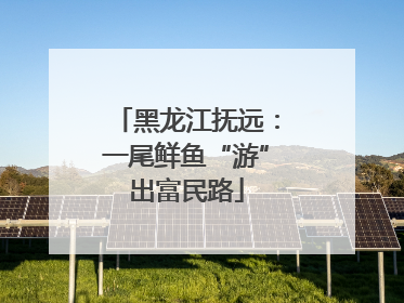 黑龙江抚远：一尾鲜鱼“游”出富民路