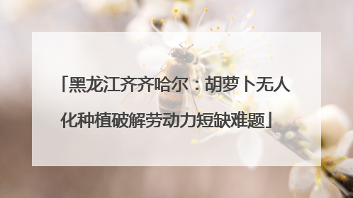 黑龙江齐齐哈尔：胡萝卜无人化种植破解劳动力短缺难题
