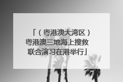 （粤港澳大湾区）粤港澳三地海上搜救联合演习在港举行