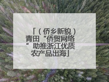（侨乡新貌）青田“侨贸网络”助推浙江优质农产品出海