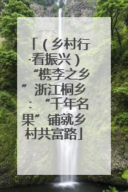 （乡村行·看振兴）“槜李之乡”浙江桐乡：“千年名果”铺就乡村共富路