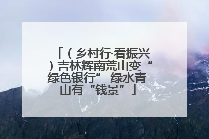 （乡村行·看振兴）吉林辉南荒山变“绿色银行” 绿水青山有“钱景”