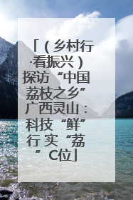（乡村行·看振兴）探访“中国荔枝之乡”广西灵山：科技“鲜”行 实“荔”C位