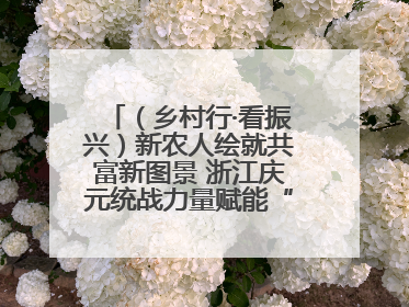 （乡村行·看振兴）新农人绘就共富新图景 浙江庆元统战力量赋能“海拔经济”