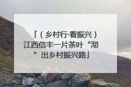 （乡村行·看振兴）江西信丰一片茶叶“沏”出乡村振兴路