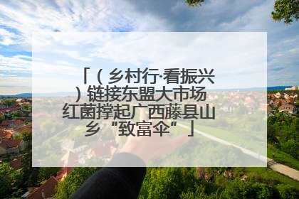 （乡村行·看振兴）链接东盟大市场 红菌撑起广西藤县山乡“致富伞”