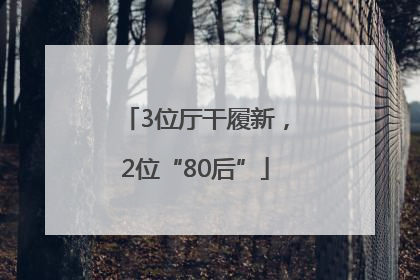 3位厅干履新，2位“80后”